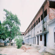 pic7.jpg